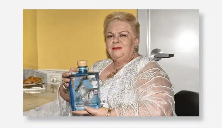 Activaciones VEO Agency 4